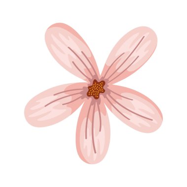 Çiçeksel izole çizim vektörü