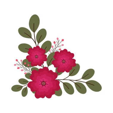 Köşedeki çerçeve çiçekleri ve dallar izole edilmiş