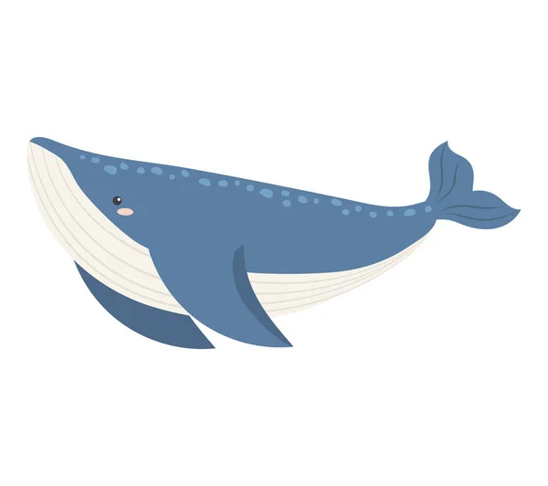 Animal Arctique Illustration Baleine Isolé — Image vectorielle