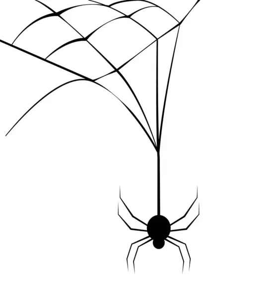 Halloween Spiderweb Araña Aislada Ilustración — Vector de stock