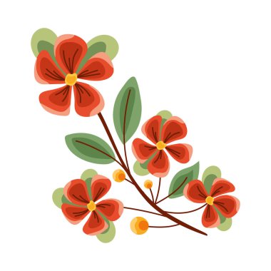 Köşedeki çerçeve çiçekleri kırmızı vektör izole