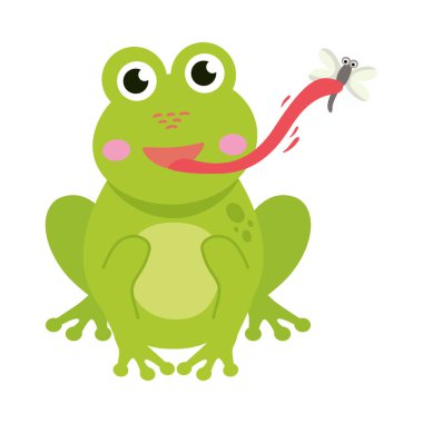 Kurbağa yiyen sinek çizim vektörü izole edildi