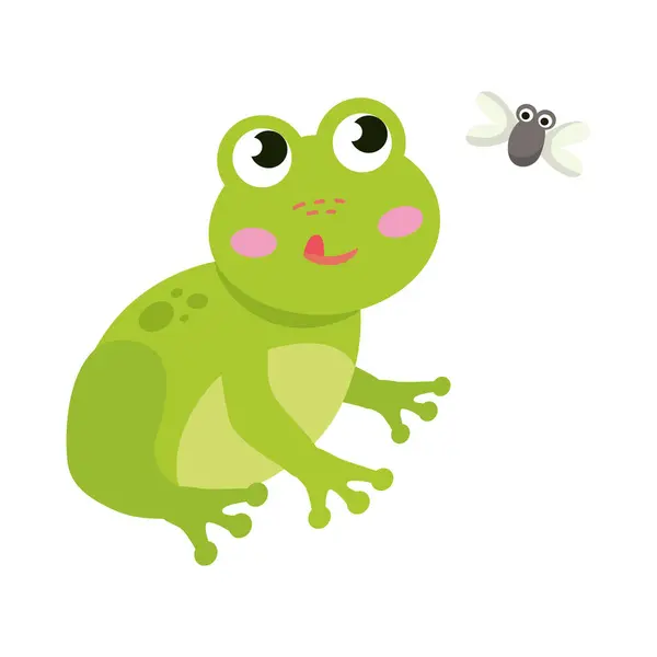 Frog Eating Fly Vector Isolated — Stock Vector