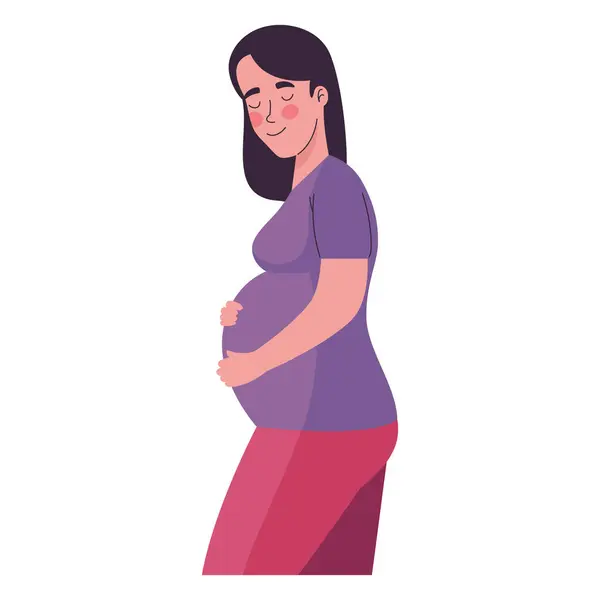 Stock vector months pregnant woman isolated vector