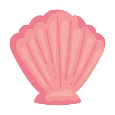 deniz kabuğu çizimi izole edildi