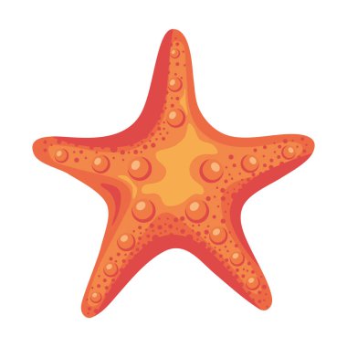 Pembe deniz yıldızı çizimi izole edilmiş.