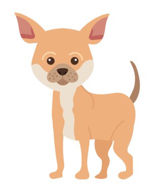 köpek chihuahua illüstrasyon vektörü izole