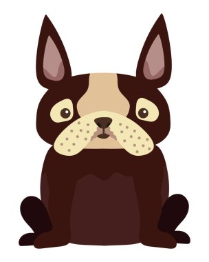 köpek bulldog illüstrasyon vektörü izole