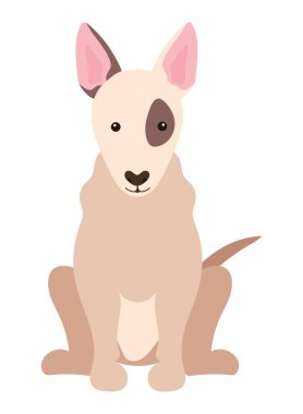 Dog bull terrier vektörü izole edildi