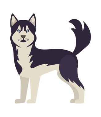 Köpek Husky çizim vektörü izole edildi