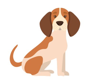 köpek beagle illüstrasyon vektörü izole