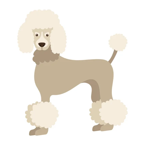 単離された犬のプードル設計ベクター — ストックベクタ