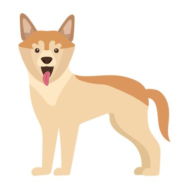 köpek shiba inu vektörü izole edildi
