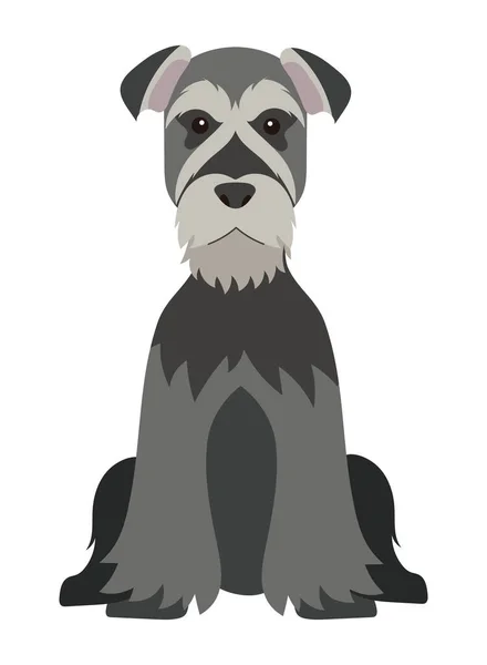 Hond Schnauzer Illustratie Vector Geïsoleerd — Stockvector