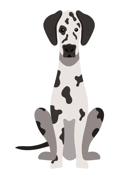 Dog Dalmatian Illustration Vector Isolated — Stock Vector
