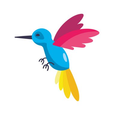 Kolombiya sinekkuşu çizimi