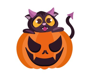 Cadılar bayramı hayvanı kabak taşıyıcısı kılığında izole edilmiş.