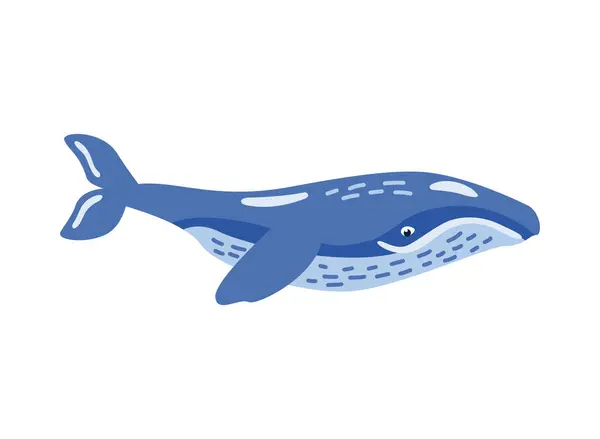 Humpback Sealife Cute Illustration Vector Isolated — Stock Vector