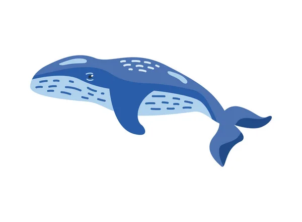 Humpback Sealife Cute Vector Isolated — Stock Vector