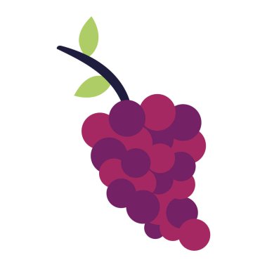 Üzüm illüstrasyon vektörü izole