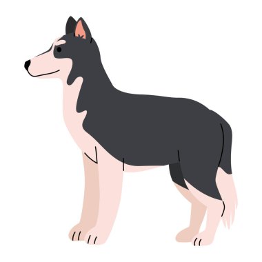 Köpek Sibirya Husky illüstrasyon tasarımı