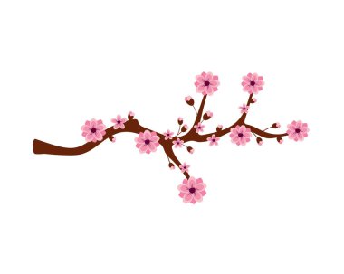 Japon sakura ağacı çizimi izole edildi
