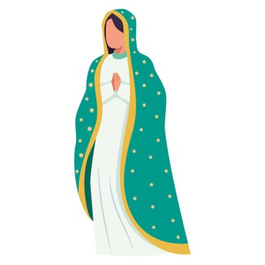 Virgen de Guadalupe Dini İllüstrasyon