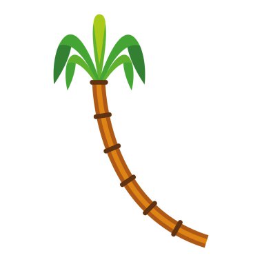 Hindistan cevizi palmiye çizimi vektörü izole edildi