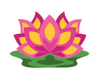 Pembe nilüfer çiçeği vektörü izole