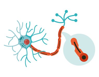 Parkinson Sinir Hastalıkları Çizim Vektörü