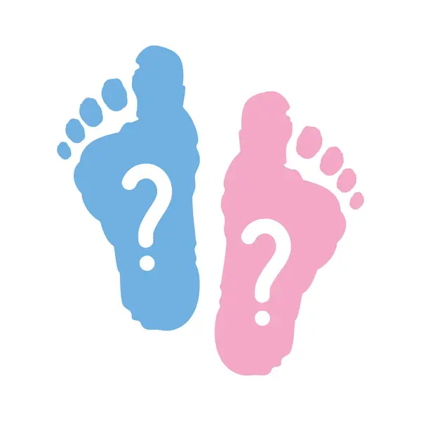 Gender Reveal Boy Girl Isolated Vector Graphics