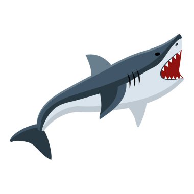 Köpekbalığı deniz hayvanı izole tasarımı