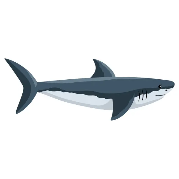 Shark Animal Sea Isolated Design Vektorgrafik