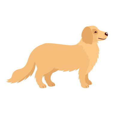 Golden Retriever köpek maskotu ayakta