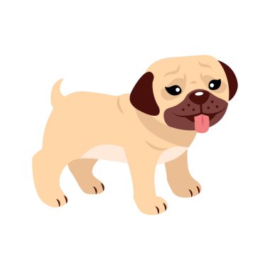 pug dog küçük maskot ayakta duran hayvan