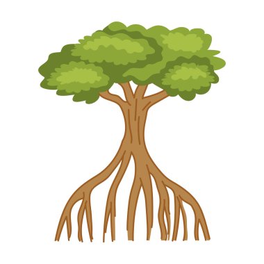 Mangrov ağacı ve izole kökler