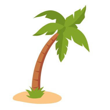 Tropikal palmiye ağacı plajı ıssız