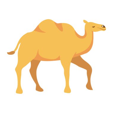 Deve dromedary hayvan simgesi izole