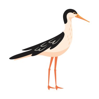 Çulluk sevimli kuş çizgi filmi izole edildi