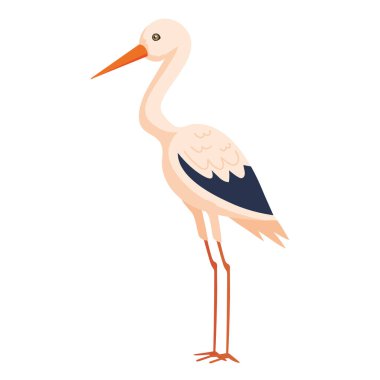 Amerikan Avocet kuşu izole edilmiş simge