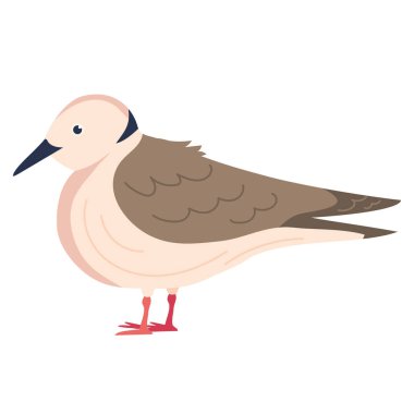 martı karikatürü izole edildi.