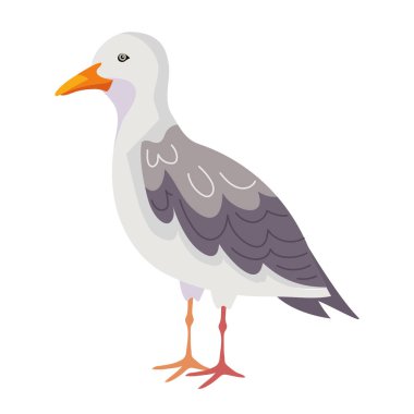 martı kuş çizgi filmi izole edilmiş simge