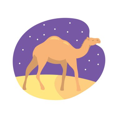 Geceleyin soyutlanmış Arap devesi