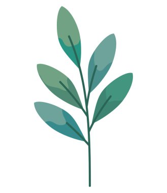 Yaprak yaprakları doğal izole simge