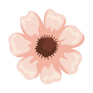 çiçek yaprakları pembe renkli izole edilmiş simge