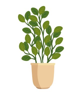 bitkilerin sulu dekorasyonu izole edilmiş simge