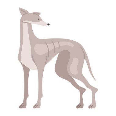 greyhound dog mascot icon isolated clipart