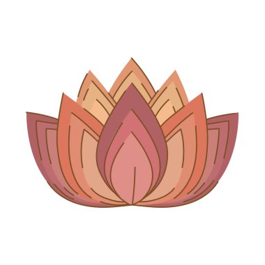 Nilüfer çiçeği ve yaprak simgesi