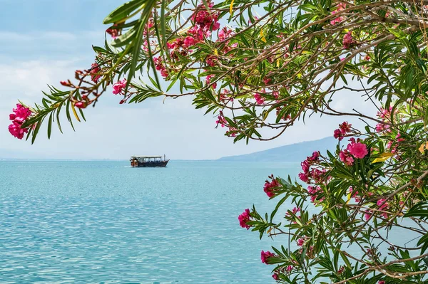 View Sea Galilee Beach Biblical City Capernaum — Stock Photo, Image