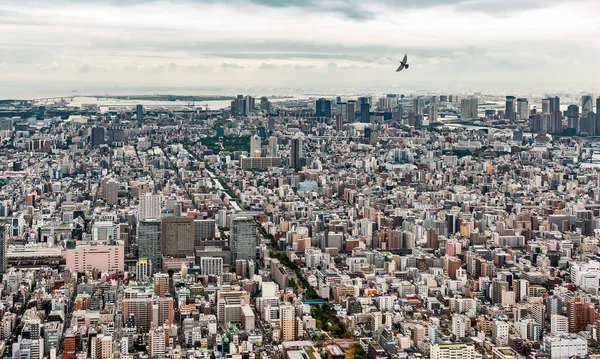 Panorama Von Tokio Aus Der Vogelperspektive lizenzfreie Stockbilder